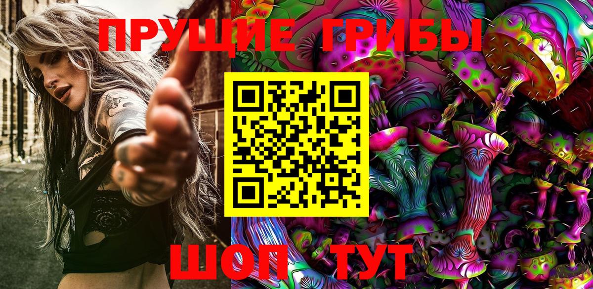 Кизляр  купить наркотик  Вход с VPN  Псилоцибиновые грибы GOLDEN TEACHER 