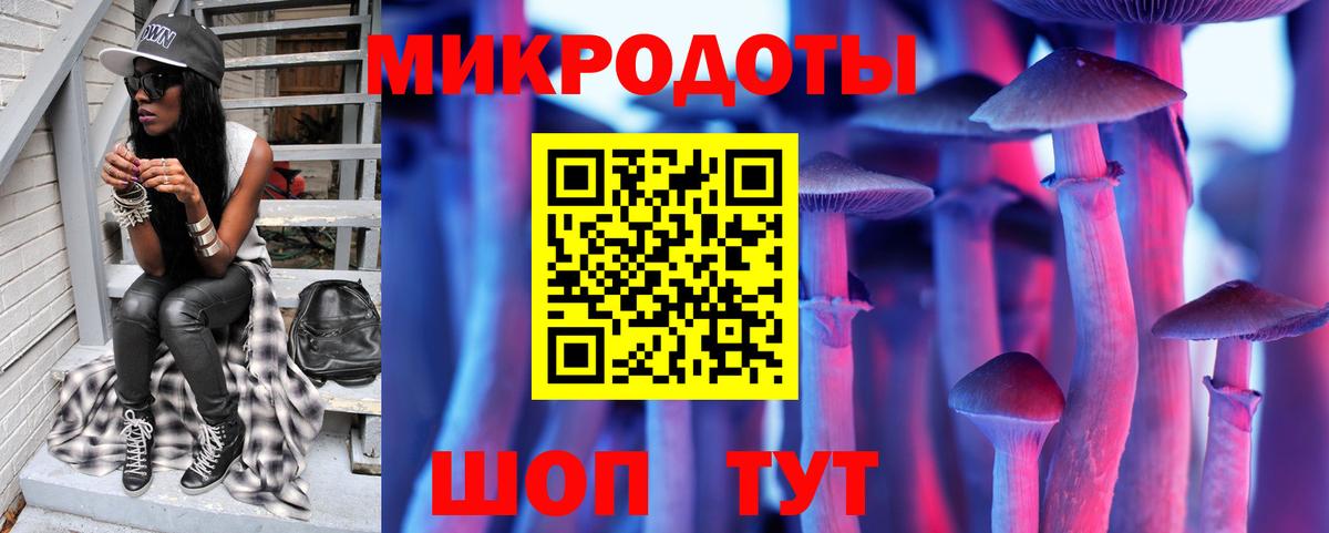 Псилоцибиновые грибы Кизляр